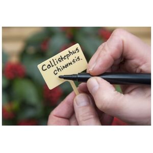 Jelt&aacute;bla k&ouml;zepes 20 db-os csomag  ZP