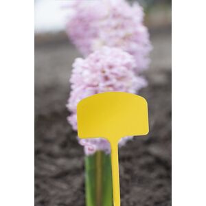 Jelt&aacute;bla 10 db 15 cm-s