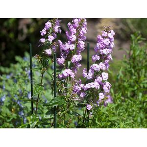 Vir&aacute;gt&aacute;masz műanyag 150cm /11mm 211784