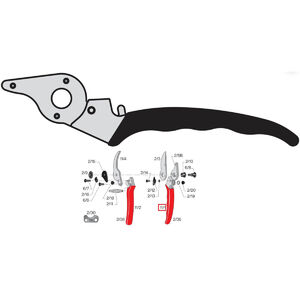 Ny&eacute;l FELCO  11