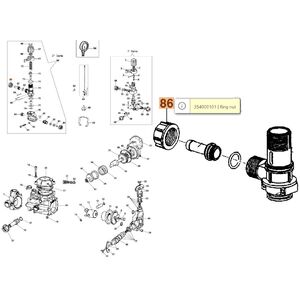 Hollander a visszat&eacute;rő csőre C19 &uacute;jfajta
