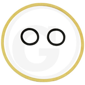 Honda G150, G200, G300, G400, GCV160 karburátor javító készlet