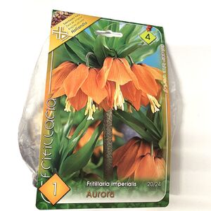 Fritillaria, császárkorona színei hagymák