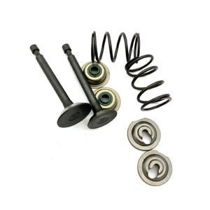 HECHT 551SX szelep készlet (2021-2024)