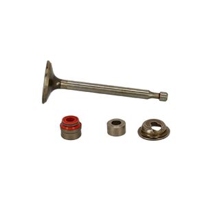 Szelep szívó Briggs 104M0B-008 jav.kszl.